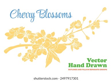 Vector hand drawn cherry blossoms. FLAT FILLS ONLY, NO OUTLINES! Elegant cherry blossoms for print and online design projects. Each vector is one united shape.