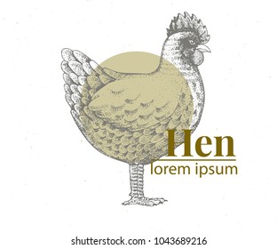 Vector hand drawn chicken illustration. Retro engraving style. Sketch farm animal drawing. Hen logo template.