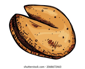 Galletitas de la fortuna chinas dibujadas a mano por vectores aisladas con antecedentes blancos. Colorida ilustración de la comida. Coge galleta con un papel en blanco dentro. Para imprimir, web, diseño, decoración.
