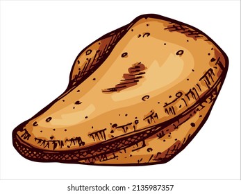 Galletitas de la fortuna chinas dibujadas a mano por vectores aisladas con antecedentes blancos. Ilustración alimentaria. Coge galleta con un papel en blanco dentro. Para imprimir, web, diseño, decoración, logotipo.
