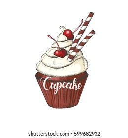 Vector hand drawn chocolate cupcake with cherries and wafer stick. Sketch, lettering. Desert, sweet bakery. Vector