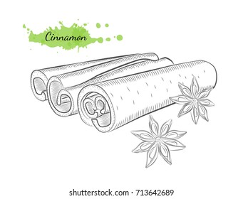 Vector hand drawn cinnamon. Isolated hand drawn vector illustration on white background. Organic natural healthy product. Great for banner, poster, label, package
