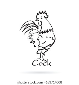 Vector of hand drawn cock on white background. Farm Animal.