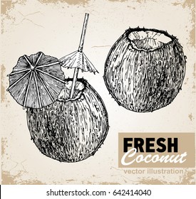 Vector hand drawn coconut drink. Tropical summer fruit engraved style illustrations. Detailed food drawing. Great for label, poster, print, vacation banner.