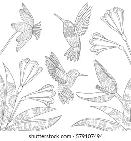 Vector hand drawn colibri bird and exotic flowers tropical illustration for adult coloring book. Freehand sketch for adult anti stress coloring book page with doodle and zentangle elements.