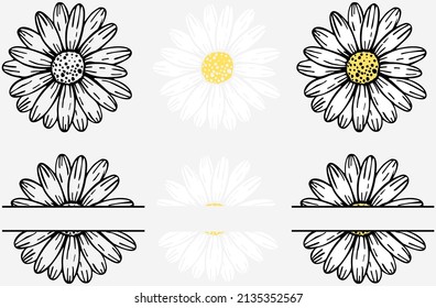 Vector hand drawn collection of daisy flower