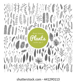 Vector hand drawn collection of doodle leafs and branches. Simple drawings of plants.