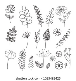 Vector Hand Drawn Collection Herbs Flowers Stock Vector (Royalty Free ...