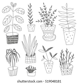 vector hand drawn collection of plants in pots