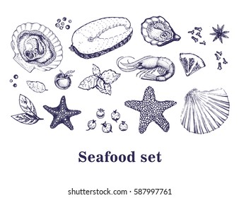 Vector hand drawn collection of seafood.