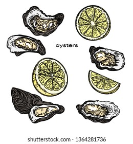 Vector hand drawn color illustration of oysters and lemons isolated on white.
