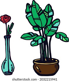 Vector hand drawn colored doodle plant set, house flowers, plants pots, vector colored pots, flower in the vase, monstrella flower
