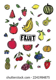 vector hand drawn colored fruit sketch doodle set