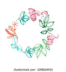 Vector hand drawn colored healthy herbal wreath with berries. Ink drawn circle sketch with raspberry and strawberry  for print, card, wrapping, menu and other natural design.