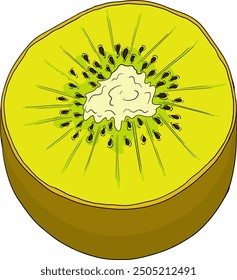 Vector dibujado a mano de color Kiwi o grosella china, o yangtaosign. Fruta exótica tropical