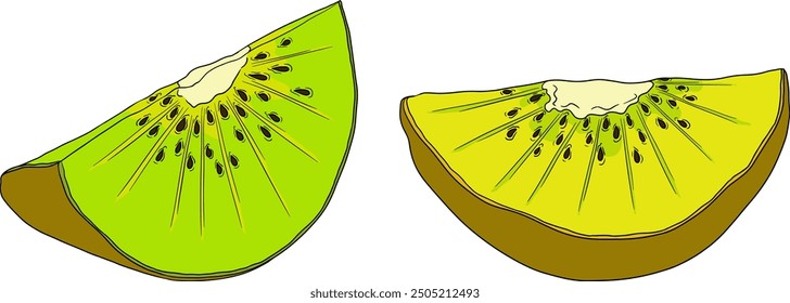 Vector dibujado a mano de color Kiwi o grosella china, o yangtaosign. Fruta exótica tropical