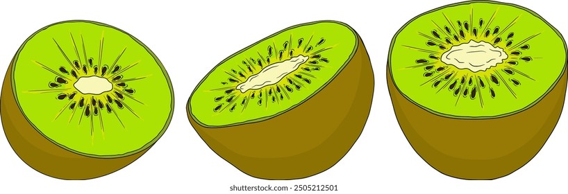 Vector dibujado a mano de color Kiwi o grosella china, o yangtaosign. Fruta exótica tropical