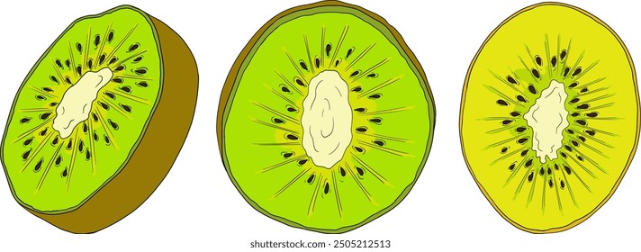 Vector dibujado a mano de color Kiwi o grosella china, o yangtaosign. Fruta exótica tropical