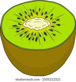 Vector dibujado a mano de color Kiwi o grosella china, o yangtaosign. Fruta exótica tropical