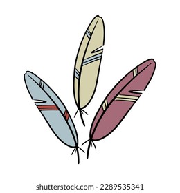 Las plumas coloridas dibujadas a mano por vectores.