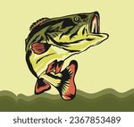 Vector hand drawn colorful fish vector illustration. Vector big bass fish