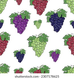 Vector Hand Drawn Colorful Grapes Seamless Pattern Isolated on White Background. Vintage Style Sweet Fruit Illustration. Different colors grapes texture for fabric textile prints or website uses.
