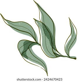 Vector hand drawn colorful olive branch illustration with retro risograph effect and splash texture.The concept of Mediterranean food. Italian Greek plant isolated on white background.
