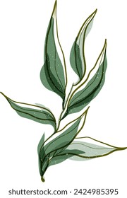 Vector hand drawn colorful olive branch illustration with retro risograph effect and splash texture.The concept of Mediterranean food. Italian Greek plant isolated on white background.