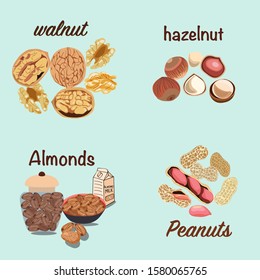 Vector hand drawn colorful set of nuts walnut, Hazelnut , almonds, peanut. Farmer market design. Whole and half nuts seed. Healthy food, organic illustration. 