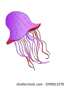 Vector hand drawn colorful violet and red jellyfish on white background.