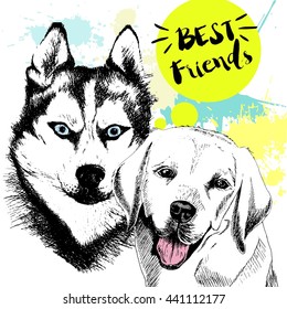 Vector hand drawn concept of labrador retriever and siberian husky friendship. Color hand drawn domestic dog illustration. Decorated with blue blots. Best friends.