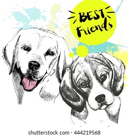 Vector hand drawn concept of labrador retriever and french bulldog  friendship. Color hand drawn domestic dog illustration. Decorated with blue blots. Best friends.