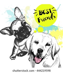 Vector hand drawn concept of labrador retriever and french bulldog  friendship. Color hand drawn domestic dog illustration. Decorated with blue blots. Best friends.
