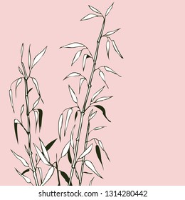 Vector hand drawn conceptual illustration of bamboo sketch isolated on white. Asian and natural themes, interiors, printed goods, fashion, textile. Image for botanic sources.