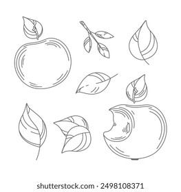 Vector hand drawn contour big apples, many small leaves set. Simple linear sketch. Editable outline. Doodle fruit icon. Ink paint food element for juice, healthy snack packaging design. Autumn harvest