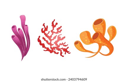 vector hand drawn coral collection on white.