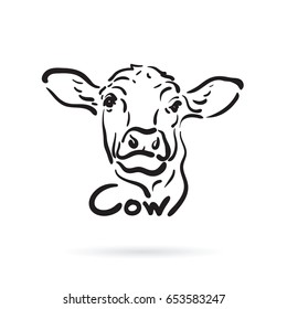 Vector Of Hand Drawn Cow On White Background. Farm Animal.