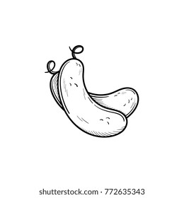 Vector hand drawn cucumber outline doodle icon. Food sketch illustration for print, web, mobile and infographics isolated on white background.