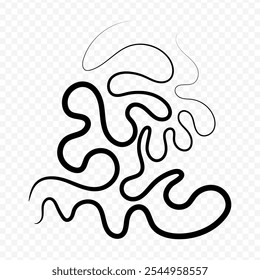 Vector hand drawn curvy lines on transparent background