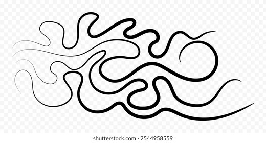 Vector hand drawn curvy lines on transparent background