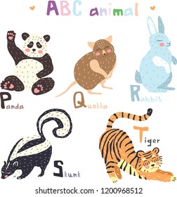 Vector hand drawn cute abc alphabet animal colorful scandinavian design, panda, quokka, rabbit,skunk, tiger