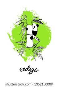 vector hand drawn cute illustration of a tiny panda on bamboo tree augmented with Ecologic sign and a green texture behind it.