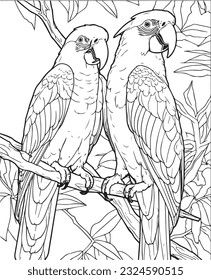 Vector hand drawn cute parrots in jungle outline illustration. Coloring page for kids and adults. Print design, t-shirt design, tattoo design, mural art, line art.