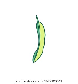 imagen prediseñada de una planta linda dibujada a mano vectorial