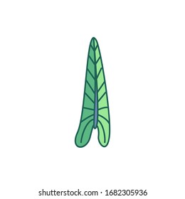 imagen prediseñada de una planta linda dibujada a mano vectorial
