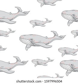 Vector hand drawn cute whale pattern. Illustrations for t-shirt design, poster design, invitations, cards and others.