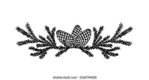 Vector hand drawn decoration with Christmas tree branches and pine cones. Sketched isolated new year garland on white background
