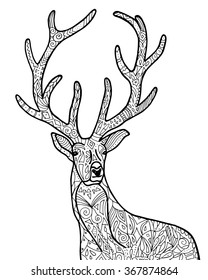 Vector hand drawn deer illustration for adult coloring book.