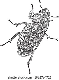 Vektor handgezeichnet, detaillierte Schwarz-Weiß-Illustration eines gemusterten Käfers im Doodle-Stil, perfekt für Erwachsenenfarbbücher