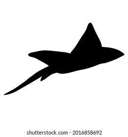 Vector hand drawn devil fish skate fish silhouette isolated on white background